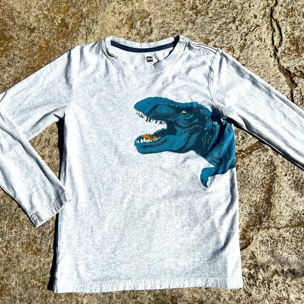 Tea Collection Double Sided Dinosaur T-Rex 12